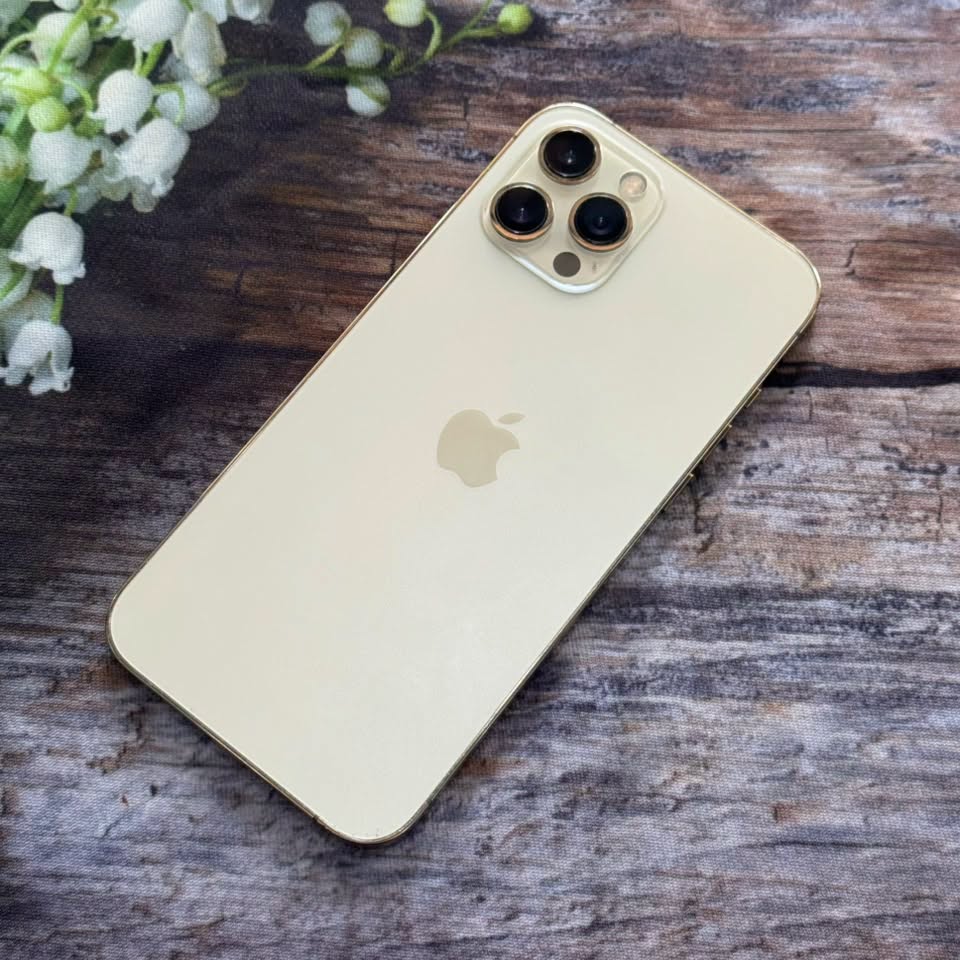 iPhone 12Promax 128G
