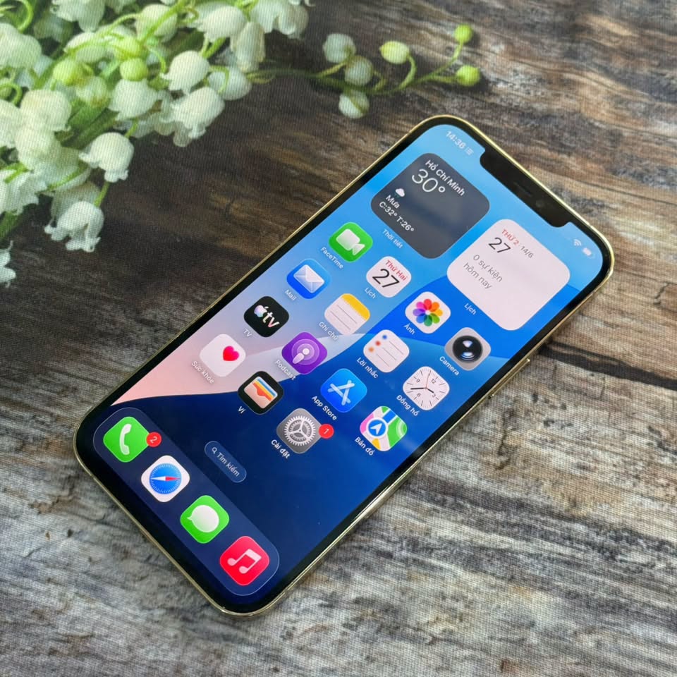 iPhone 12Promax 128G