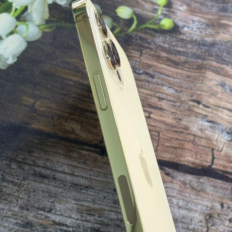 iPhone 12Promax 128G