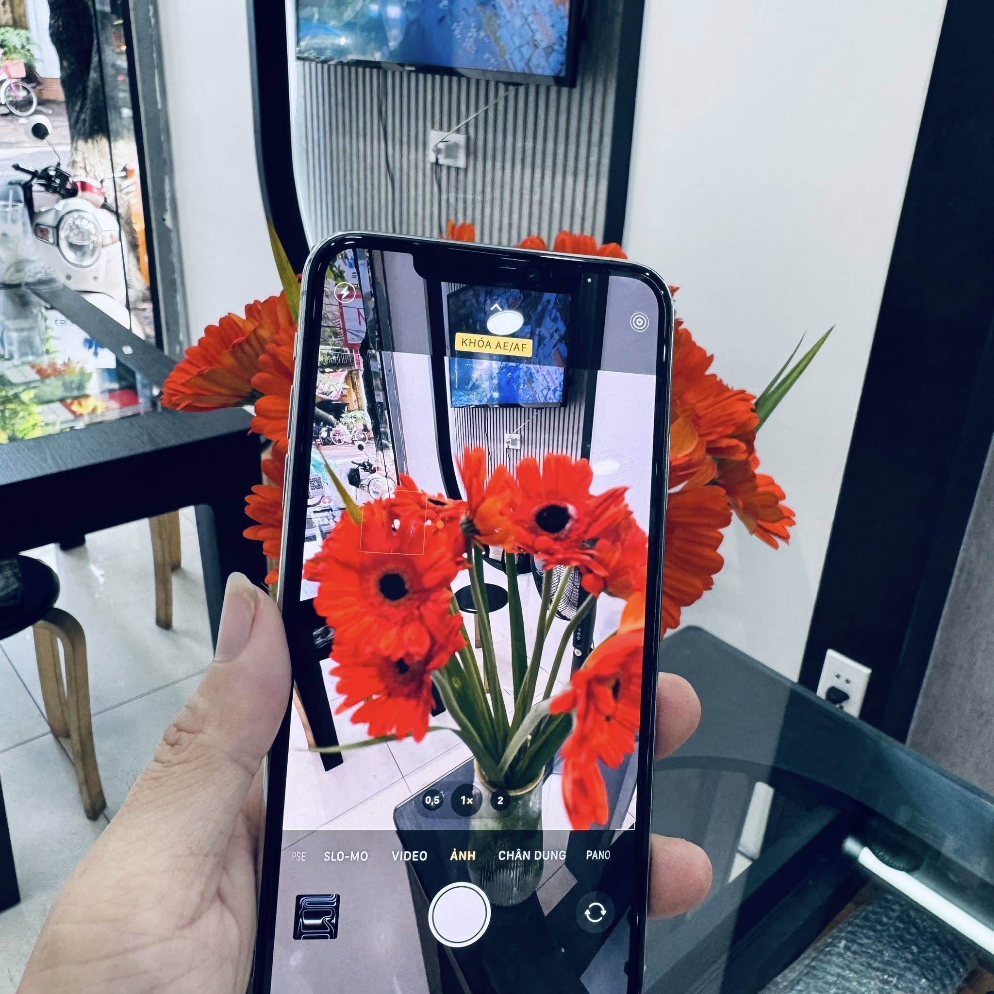 iPhone 11 Promax
