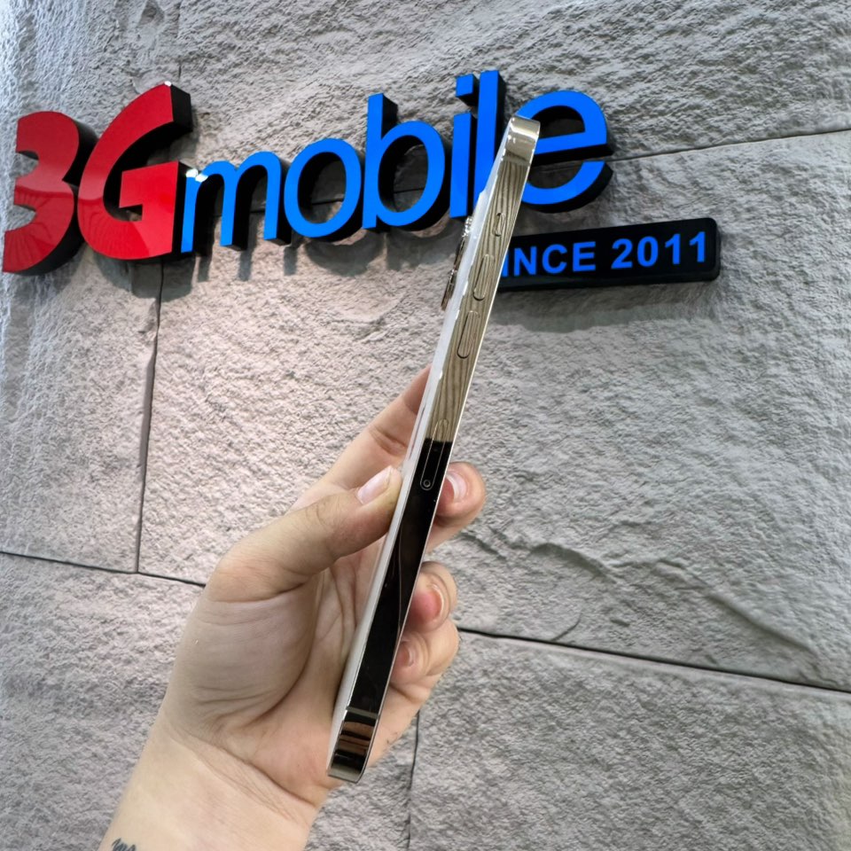 iPhone 12 promax 256G