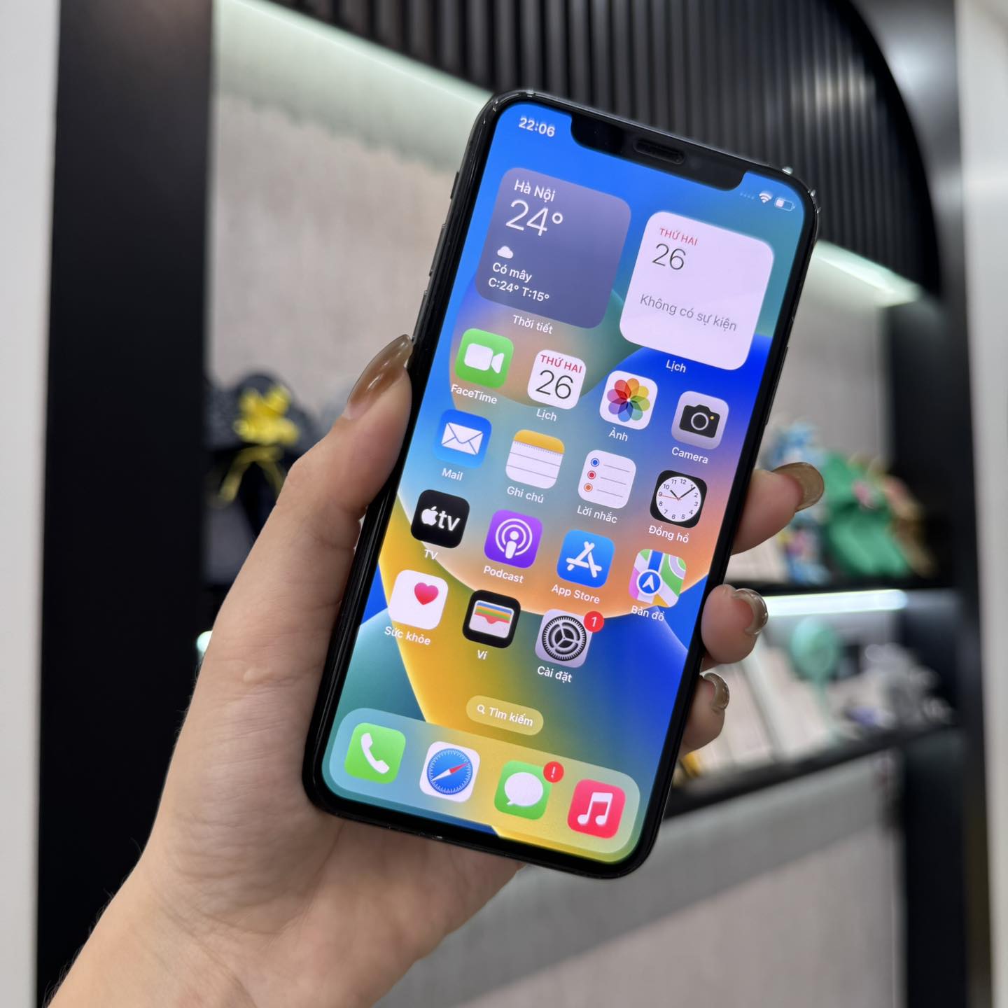 iPhone X 256G